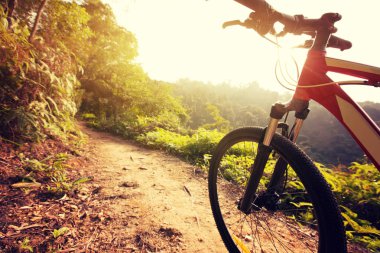 Dağ bisikleti 