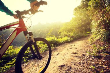 Dağ bisikleti 
