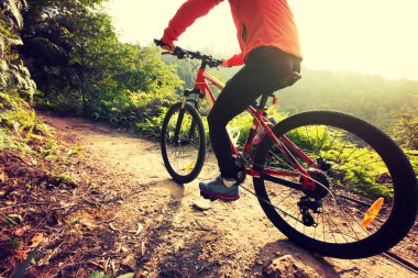 Dağ bisikleti 