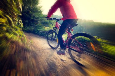 Dağ bisikleti 