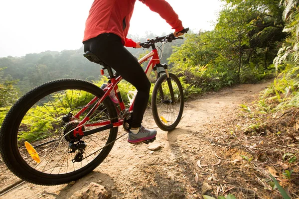 Andar de bicicleta de montanha — Fotografia de Stock