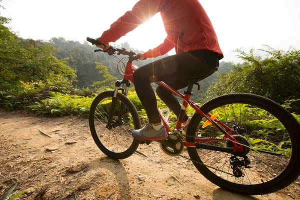Dağ bisikleti — Stok fotoğraf