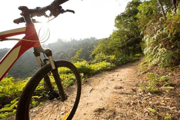 Езда на горном велосипеде — стоковое фото