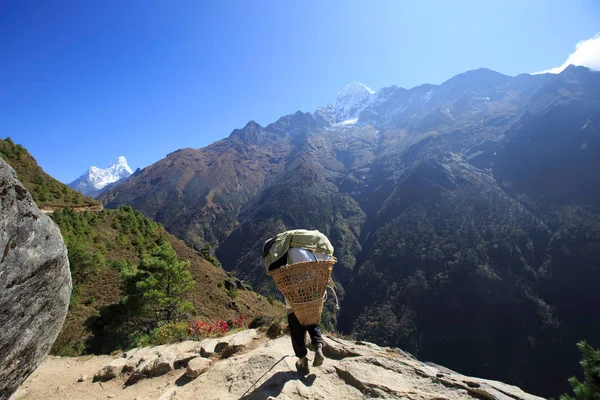 Porter walking to base camp — Stock Photo, Image