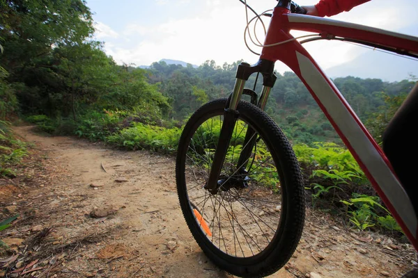 Riding mountain bike — Stock Photo, Image