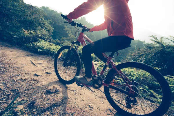 Andar de bicicleta de montanha — Fotografia de Stock