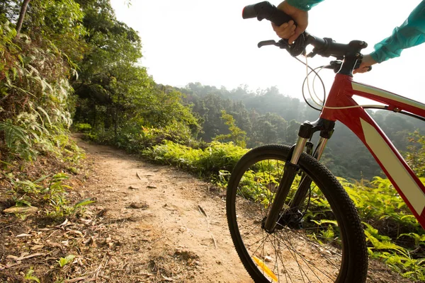 Montar bicicleta de montaña — Foto de Stock