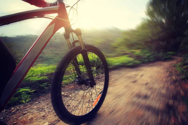 Equitazione mountain bike — Foto Stock