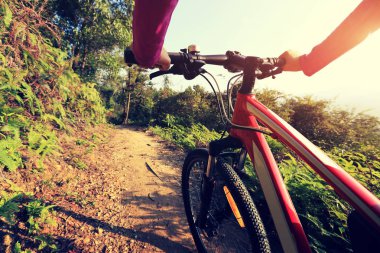 Dağ bisikleti 