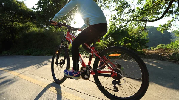 Riding on mountain bike — Stock Photo, Image