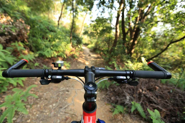 Bicicleta de montaña en el camino del bosque — Foto de Stock