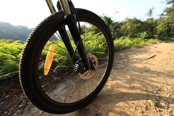 dağ bisikleti tekerlek