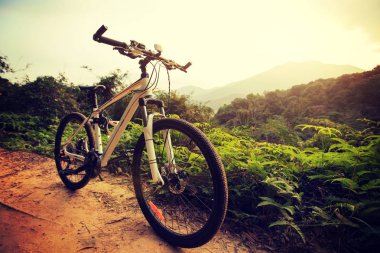 dağ bisikleti ormanda deneme