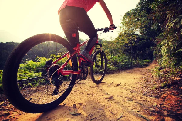 Riding on mountain bike — Stock Photo, Image