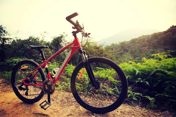 Mountainbike i skog rättegång — Stockfoto