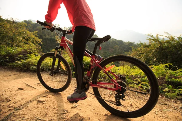 Dağ bisikleti üzerinde sürme — Stok fotoğraf