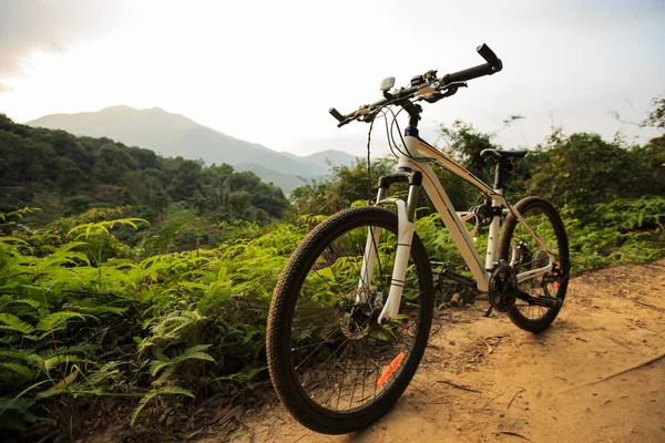 Dağ bisikleti ormanda deneme — Stok fotoğraf
