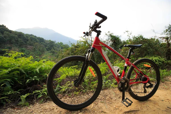 Гірський велосипед на лісовому випробуванні — стокове фото