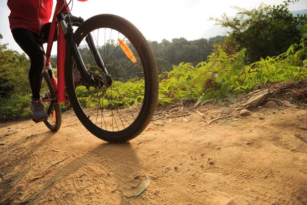 Montar en bicicleta de montaña — Foto de Stock