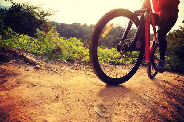 Andar de bicicleta de montanha — Fotografia de Stock
