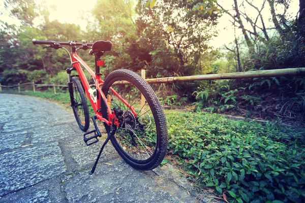 mountain bike at forest path