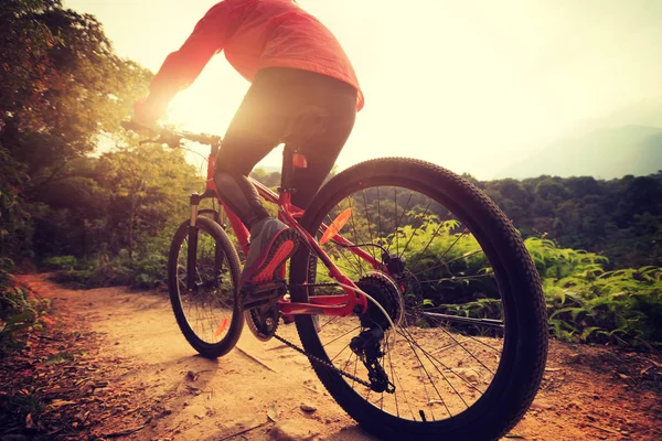 Andar de bicicleta de montanha — Fotografia de Stock