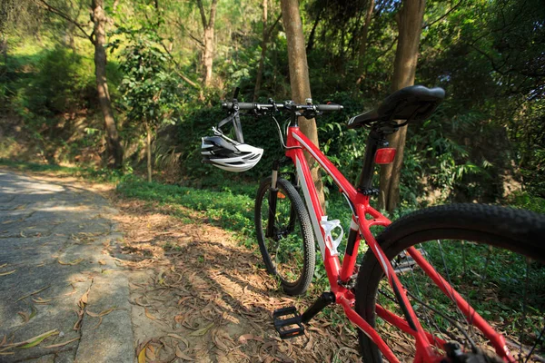 山地自行车在森林的路径 — 图库照片