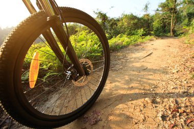 dağ bisikleti tekerlek