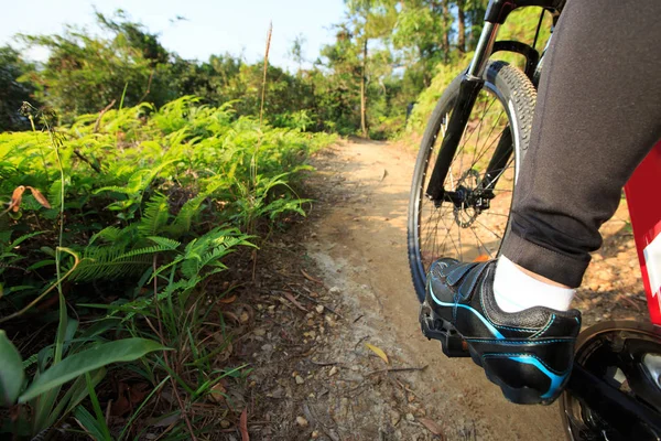 Mujer joven montando bicicleta de montaña —  Fotos de Stock