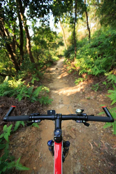 숲의 경로에서 산악 자전거 — 스톡 사진