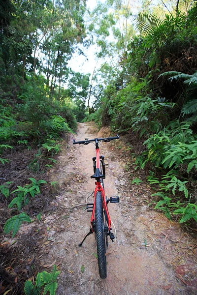 Mountain bike no caminho da floresta — Fotografia de Stock