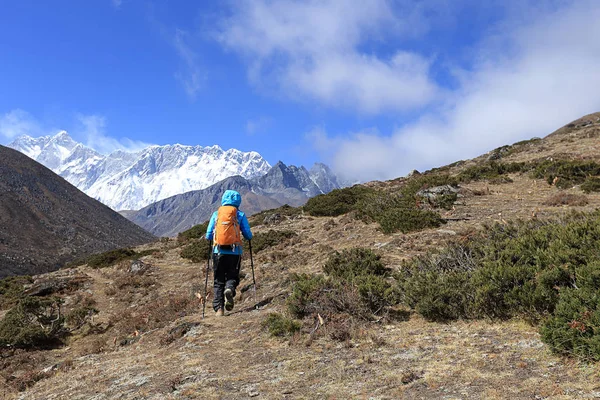 Une promenade touristique sur la route — Photo