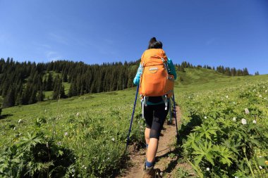 genç kadın dağda yürüyüş  