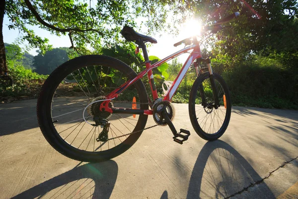 Bicicleta de montaña en el sendero forestal — Foto de Stock