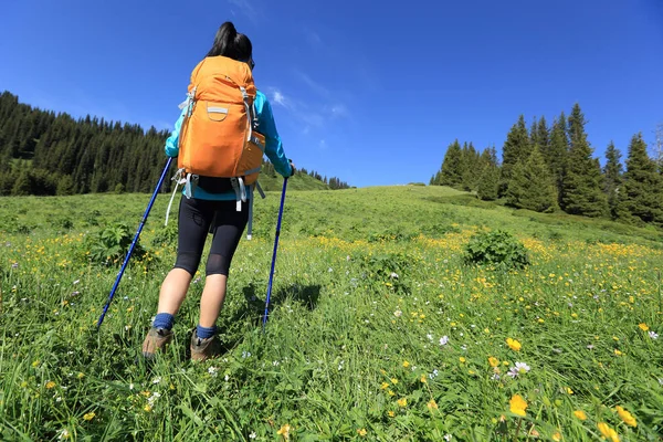 Ung kvinna promenader på berget — Stockfoto