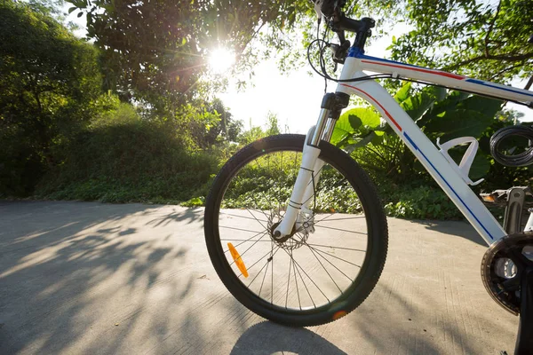 Bicicleta de montaña en el sendero forestal — Foto de Stock