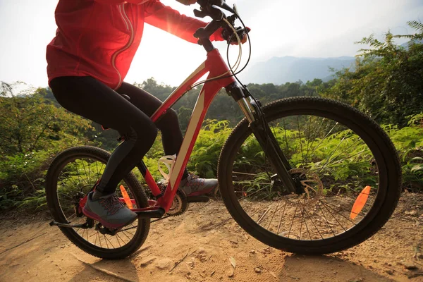 Jovem mulher andar de bicicleta de montanha — Fotografia de Stock