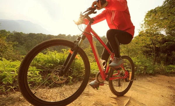 Young woman riding mountain bike — Stock Photo, Image