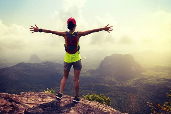 Mujer joven disfrutando de la vista en la montaña —  Fotos de Stock