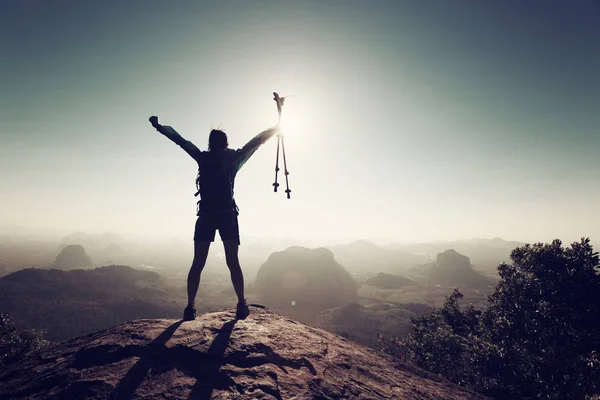 Succesvolle vrouw stond op de bergtop — Stockfoto