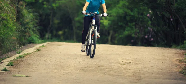 cyclist riding mountain bike