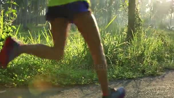 Mulher correndo em trilha florestal — Vídeo de Stock