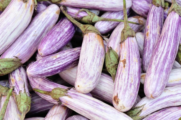 Fresh eggplants at market — Stock Photo, Image