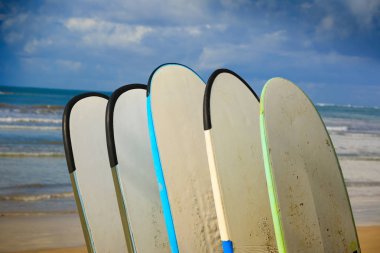satır farklı sörf tahtaları