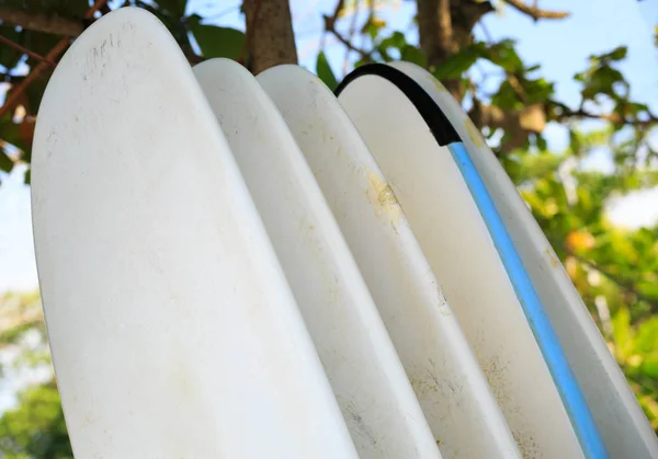 Reihe verschiedener Surfbretter — Stockfoto