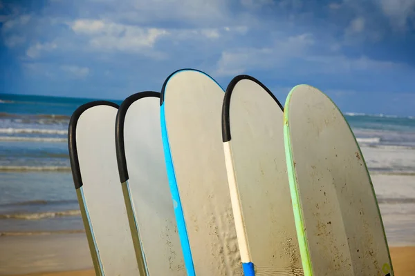 Reihe verschiedener Surfbretter — Stockfoto