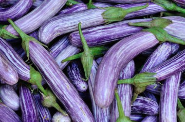 Markette taze patlıcan