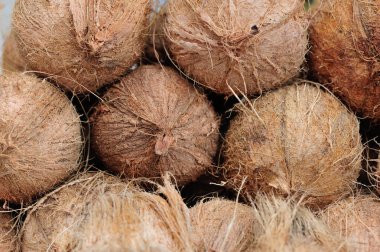 yerel pazarda satan hindistancevizi