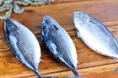 taze balık piyasa üzerinde satış 