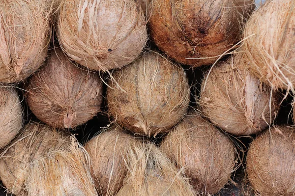 Coconuts selling at local market — Stock Photo, Image